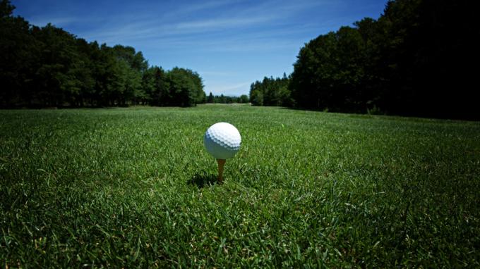 Golf_ball_3[1]